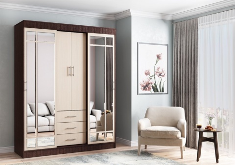 Шкаф-Купе Фиджи (Ш-1700 х В-2220 х Г-560/610 мм)/Разные Цвета